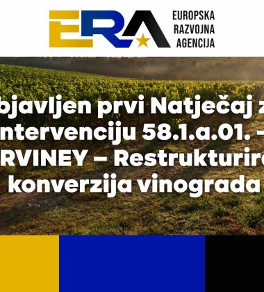 Objavljen prvi natječaj za restrukturiranje i konverziju vinograda