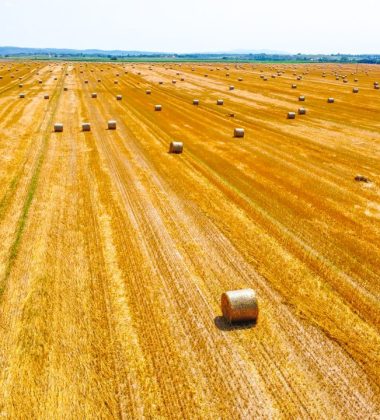 Za potpore u poljoprivredi isplaćeno više od 35 tisuća eura