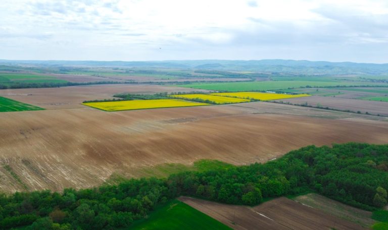 DSC_1777_0015_DJI_0102