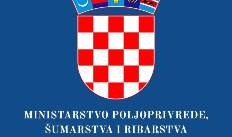 Polish_20250605_120110882