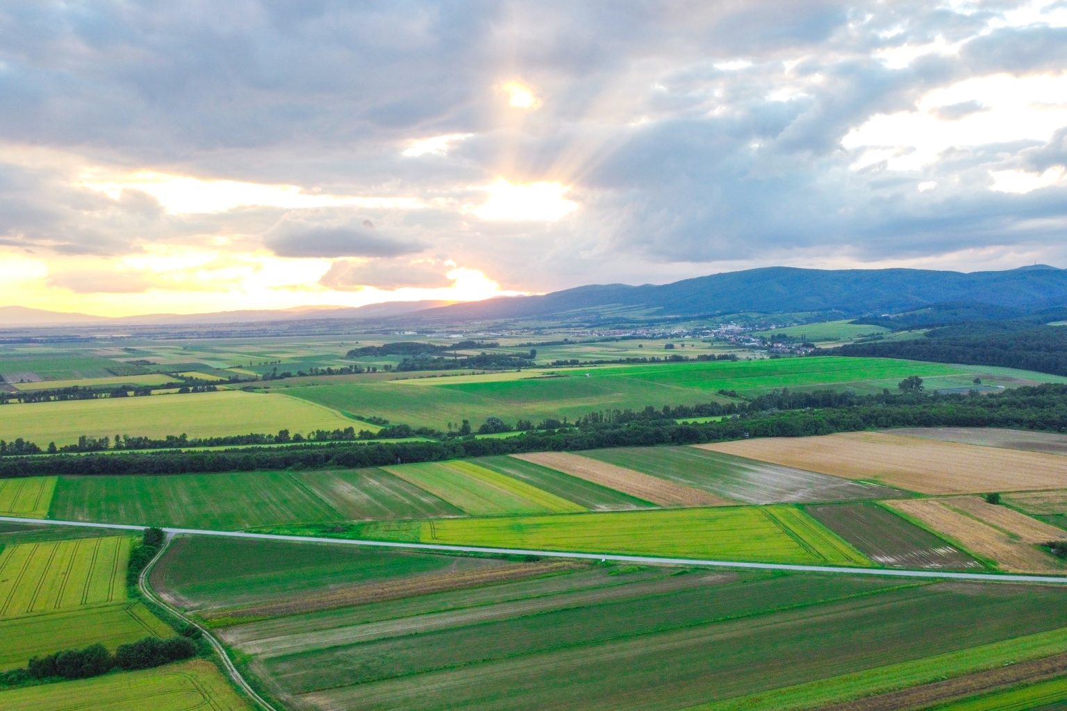Požeško – slavonska županija objavljuje Javni poziv za dodjelu potpore udrugama registriranim za djelatnosti: poljoprivreda, razvoj ruralnih područja ili zaštita životinja