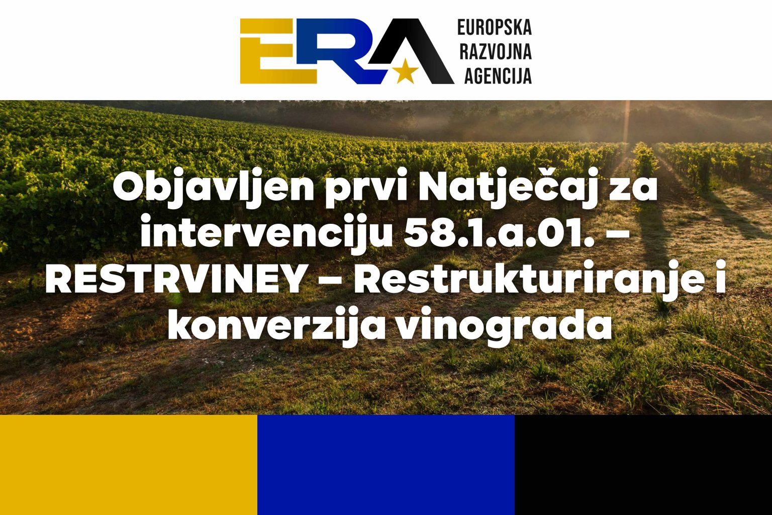 Objavljen prvi natječaj za restrukturiranje i konverziju vinograda