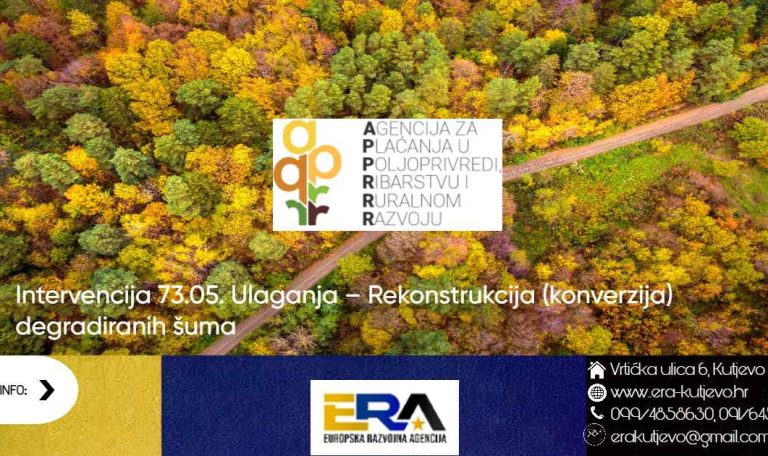 Web_Photo_Editor (56)