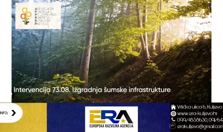 Untitled Project (26)