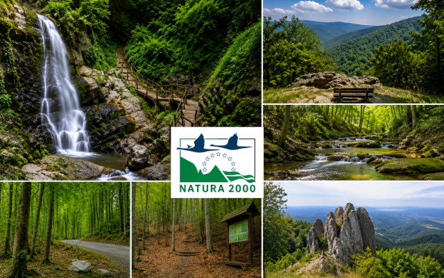 Poziv na dostavu projektnih prijedloga “Očuvanje i obnova ekološke mreže Natura 2000 u RH”