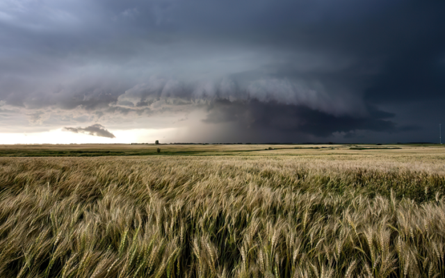 Javni poziv za provedbu intervencije 78.a.01. „Krizna plaćanja poljoprivrednicima nakon prirodnih katastrofa, nepovoljnih klimatskih prilika ili katastrofalnih događaja“