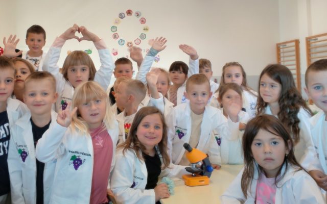 Proveden projekt ˝Grozdićevi istraživači˝